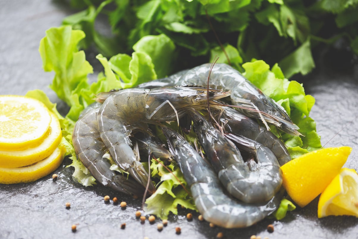 Raw Shrimps on Plate - Fresh Shrimp Prawns Uncooked with Spices