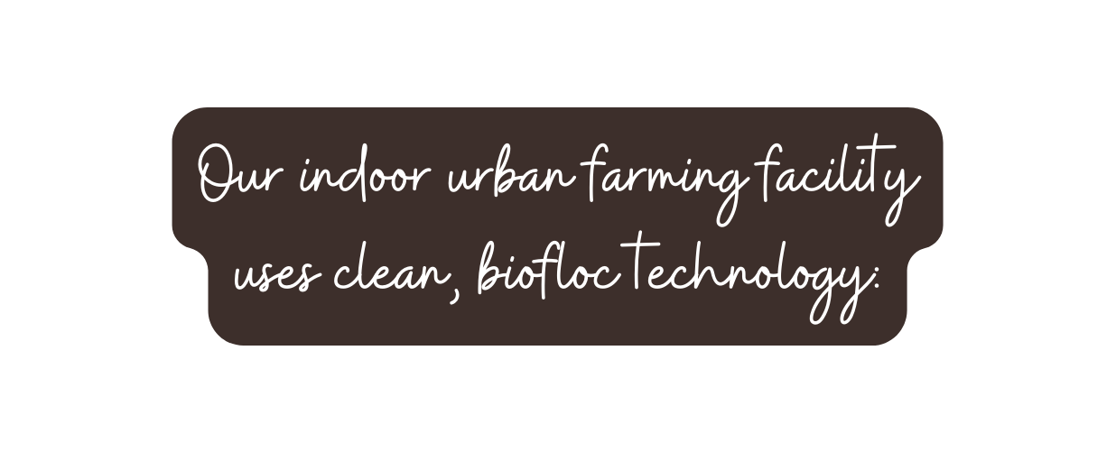 Our indoor urban farming facility uses clean biofloc technology